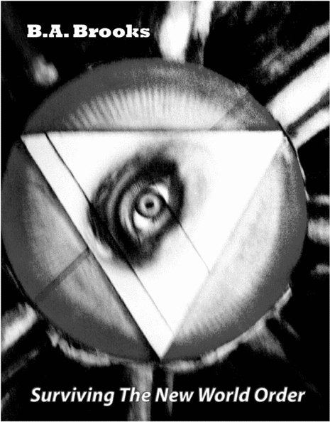 Product picture Surviving The New World Order