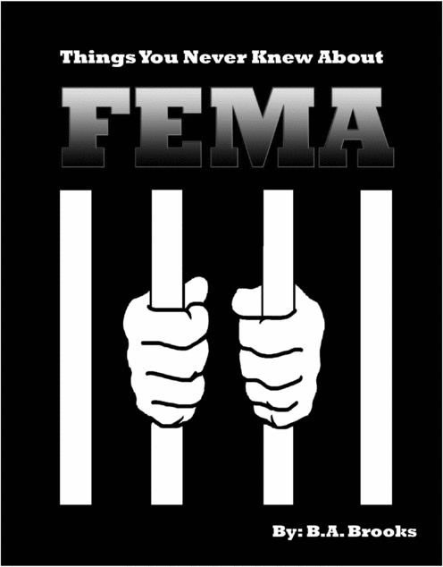 Product picture Things You Never Knew About FEMA